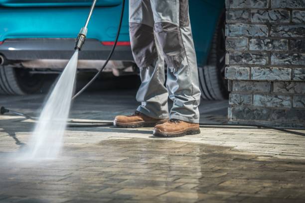 Best Driveway Pressure Washing  in Lakewood, IL