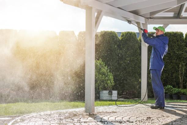 Best Building Exterior Washing  in Lakewood, IL